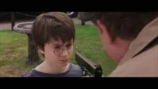 HarryPotter (gun edition)