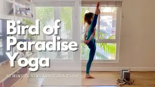 30 minute Bird of Paradise Yoga Flow | Heart Opening + Balance | Yoga for Balance with Heather Pugh