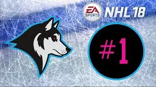 NHL 18 ~ Minneapolis Huskies Franchise Mode ~ #1 (Introducing the Team)