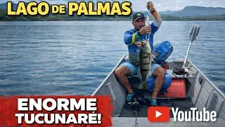 PESCA DE TUCUNARÉ NO LAGO DE PALMAS, TOCANTINS 