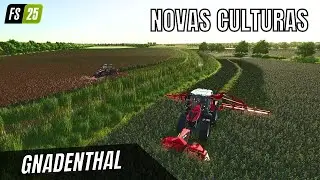 Gnadenthal um Belo Mapa para M&aacute;quinas GRANDES com Novas Culturas para o Farming Simulator 25