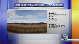 USDA Pandemic Assistance For Producers