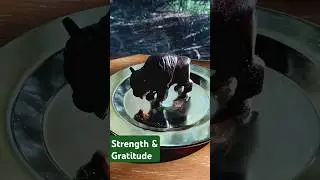 #buffalo Spirit 🦬