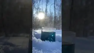 Как заварить синий чай Анчан #tea #aesthetic