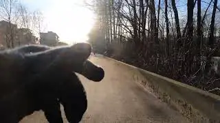 Jan 25, 2026 - Traboulay Poco Trail Along Coquitlam River - 5km