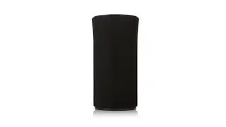 Samsung R1 Speaker
