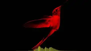|FREE BEAT|БИТ ДЛЯ ФРИСТАЙЛА - REAL #бит #биты #freebeat