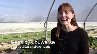 Cassidy Louwerse - Horticultural Sciences