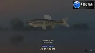 FISHER ONLINE lac KULGU journa VAIRON