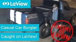 Casual Car Burglar | Caught on LaView