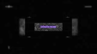 D&ouml;g&ouml;s Robi - Danika House (Official Audio)