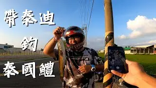 【阿修釣魚中】帶泰迪釣泰國鱧! #阿修釣魚中 #泰國鱧 #路亞