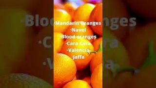 Types of oranges you should be aware of