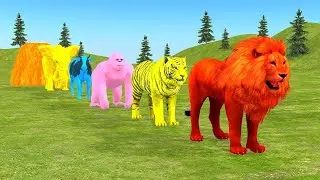Smile 😊 Road Obstacle | Gorrila Cow Tiger Lion Elephant | Fountain Crossing Animal Game