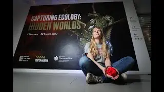 BES Capturing Ecology: Hidden Worlds Exhibition at Ulster Museum 2020