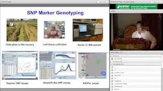 Accomplishments in soybean molecular breeding and future perspectives