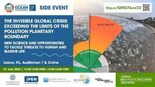 The Invisible Global Crisis: Exceeding the Limits of the Pollution Planetary Boundary