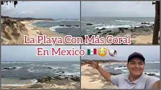 PLAYA ZAPOTE DE MADERO MICHOAC&Aacute;N // LA PLAYA CON M&Aacute;S CORAL EN M&Eacute;XICO🇲🇽🐚😳 // LUISITO HERN&Aacute;NDEZ