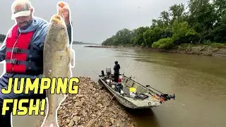 Catfishing with Jumping Asian Carp on the Missouri River!