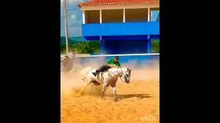 DHEOVANE ALMEIDA J&Aacute; NOS TREINOS HARAS WS
