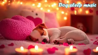 Музыка для собак 🎵 Расслабляющая и успокаивающая музыка 🐶 Лечение тревоги разлуки | Музыка для