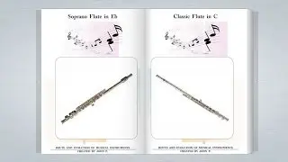 Flute  family