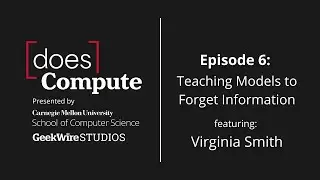 Teaching Models to Forget Information
