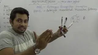 Фагоцитоз | Процесс и этапы | HSC Zoology Глава 10 | Фахад Сэр