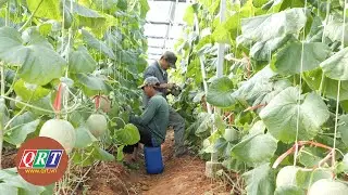 BẢN TIN MIỀN TRUNG - T&Acirc;Y NGUY&Ecirc;N (20-01-2024) | QRT