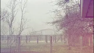 (Free) Xaviersobased x nyli type beat