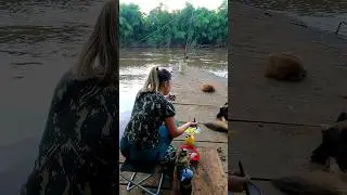Brazilian Nature - ASMR