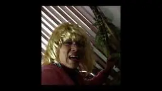 Los mejores videos de Vine en Español - Enero 2014