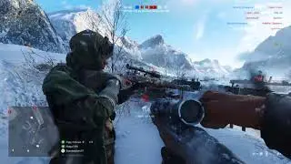 BFV closed Alpha