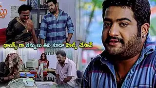 Jr.NTR & Venu Madhav , Prakash Raj Super Hit Movie Interesting Scene | Telugu | Jr.NTR | Love Cinema
