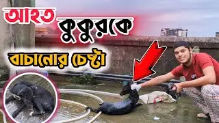 আহত কুকুর কে গোসল দিলাম | I bathed the injured dog | dog rescue Bangladesh |