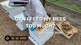 BEEKEEPING: Can I Feed My Bees Too Much?