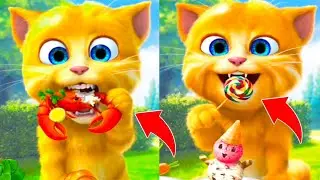Talking Ginger Funny Videos 🤣🤣🤣 | my talking tom | my talking ginger | tom ginger |