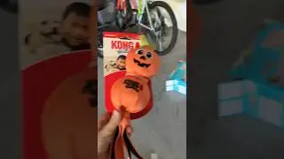 New dog toys #fun #reels #viral #trending #fyp #shorts #dogs