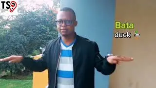Ndege na wadudu kwa lugha ya Alama ya Tanzania.