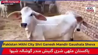 Pakistan Mithi City Shri Ganesh Mandir Gaushala Sheva ll Minorities News Pakistan