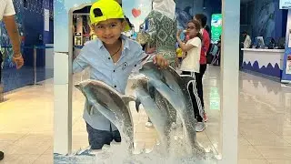 Dubai Dolpharium and Seal Show,Dubai...Must visit place if you are visiting dubai with kids.