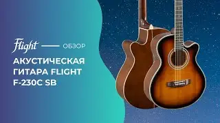 Обзор  акустической гитары FLIGHT F-230C SB