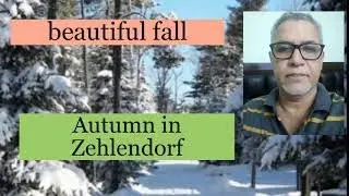 Autumn in Zehlendorf | beautiful fall colors | Autumn leaves in Germany | Autumn season in Europe