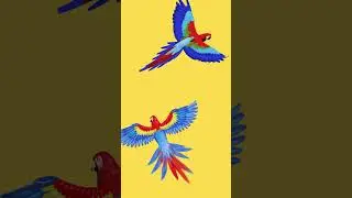 👉 Guess the Number 🤔🍎🐦 | Fun Counting Game for Kids | Kittu