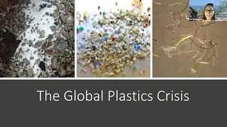 Global Plastics Crisis: Causes, Consequences, and Solutions