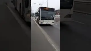 Autobuzul Mercedes-Benz citaro euro 4 #4800