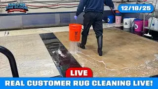 REAL Customer Rugs Getting Washed | LIVE RUG CLEANING