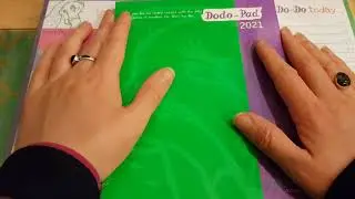 Dodo Pad planner purchases and random rambles