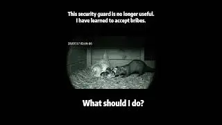 This security guard is no longer useful.I have learned to accept bribes.