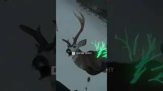 Did I Just Find the Weirdest Level 5 Mule Deer? theHunter: Call of the Wild #cotw